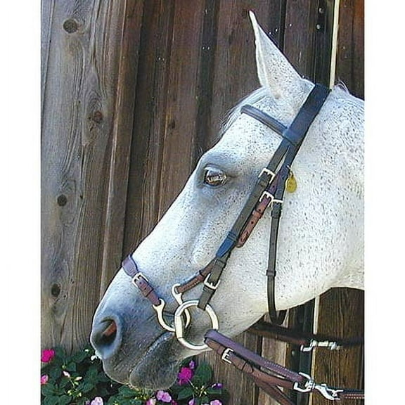 Kineton Havana Noseband