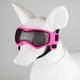 thumbnail image 3 of Adecuado para perros pequeños y medianos Gafas de sol UV, resistentes al viento, a la niebla, al polvo y a la nieve, para paseos al aire libre, 3 of 5