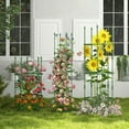 thumbnail image 4 of Gymax 3-Pack Garden Tomato Trellis 60'' Plant Support Cage w/ Adjustable Size for Plants, 4 of 10