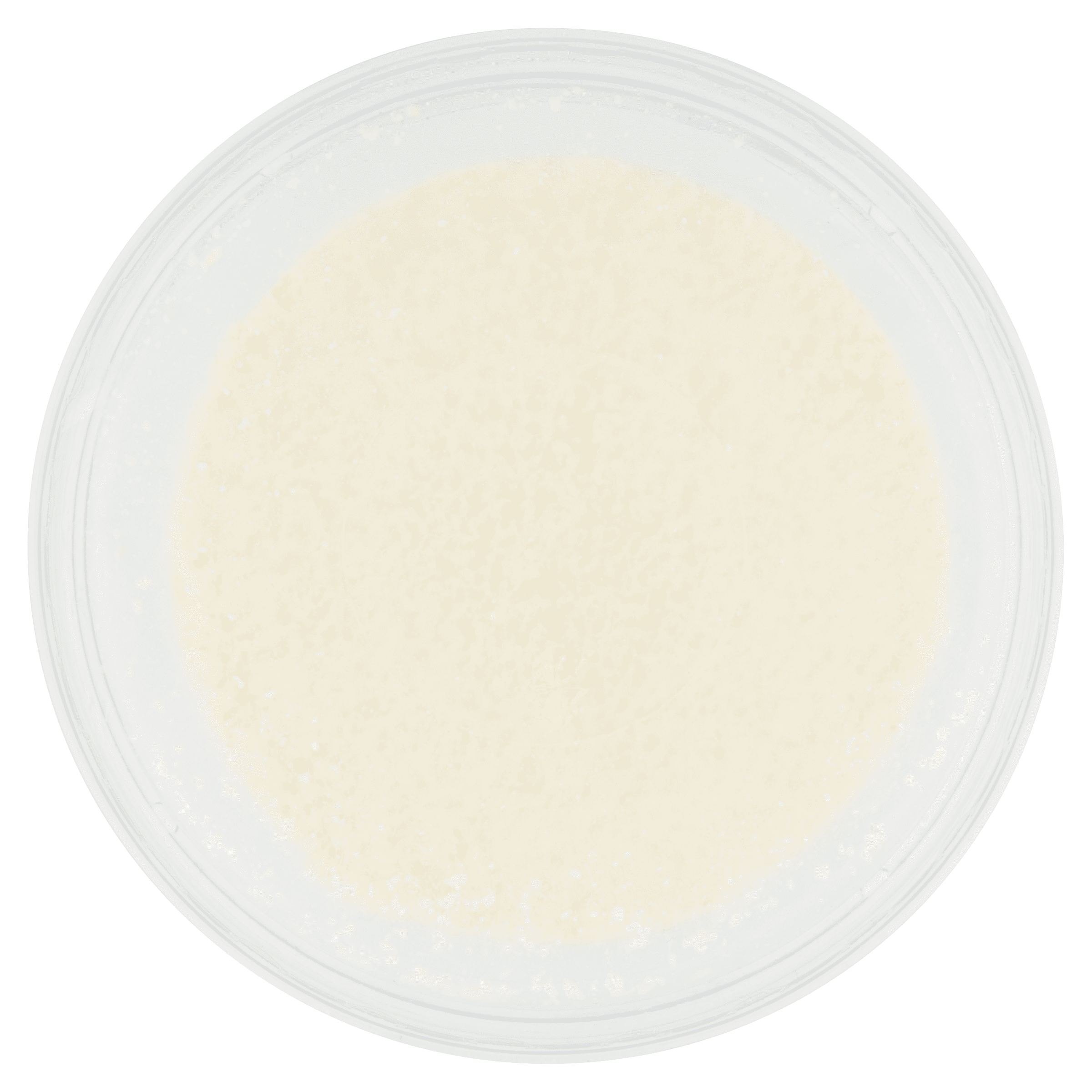 Tropical Queso Fresco Centroamericano, Fresh White Cheese, 12oz Resealable Plastic Tray, rBST Free
