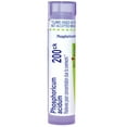 thumbnail image 4 of Boiron Phosphoricum Acidum 200CK, Homeopathic Medicine for Poor Concentration Due To Overwork, 80 Pellets, 4 of 12