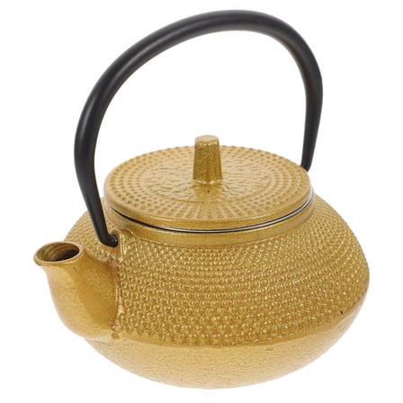 PAMINGONO Stovetop Kettle For Boiling Water Teakettle Iron 1Set Golden