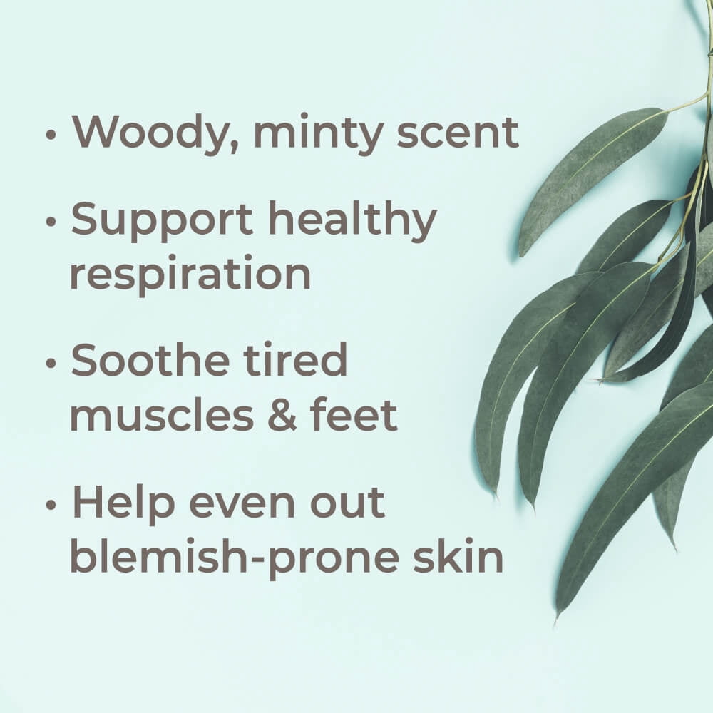 Plant Therapy Eucalyptus Dives Essential Oil 30 mL (1 oz) 100% Pure, Undiluted, Therapeutic Grade