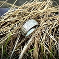 thumbnail image 3 of Dinheiro Anillo de acero inoxidable antigua 4 bestia guardiana, dragón, tigre blanco, suzaku, talla de basalto, 3 of 5