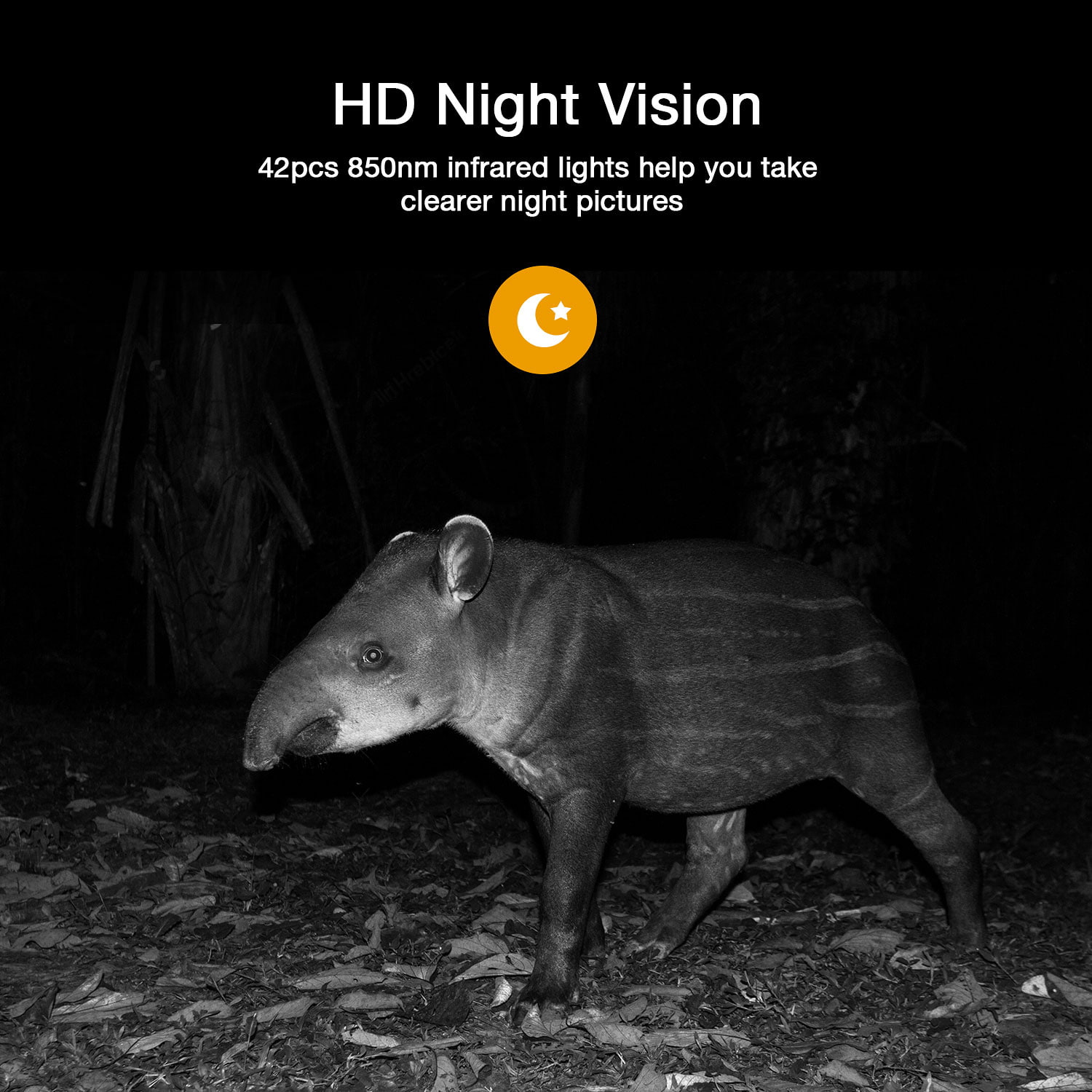 CAMPARK 2 PACK Trail Camera 4K 42MP Hunting Game Camera with infrared Night Vision 44pcs 940nmn 120°Wide-Angle Waterproof 2.4" LCD Trail Cam for Wildlife Monitoring