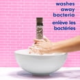 thumbnail image 3 of Softsoap Coconut and Hibiscus Moisturizing Liquid Hand Soap, 332 ml Bottle, 3 of 9