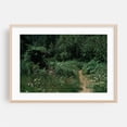 thumbnail image 2 of Untitled - Oregon Photography Forest Nature Woodland Wilderness Floral Scenic Botanical Unframed Wall Art Print 5 x 7 inches, 2 of 7