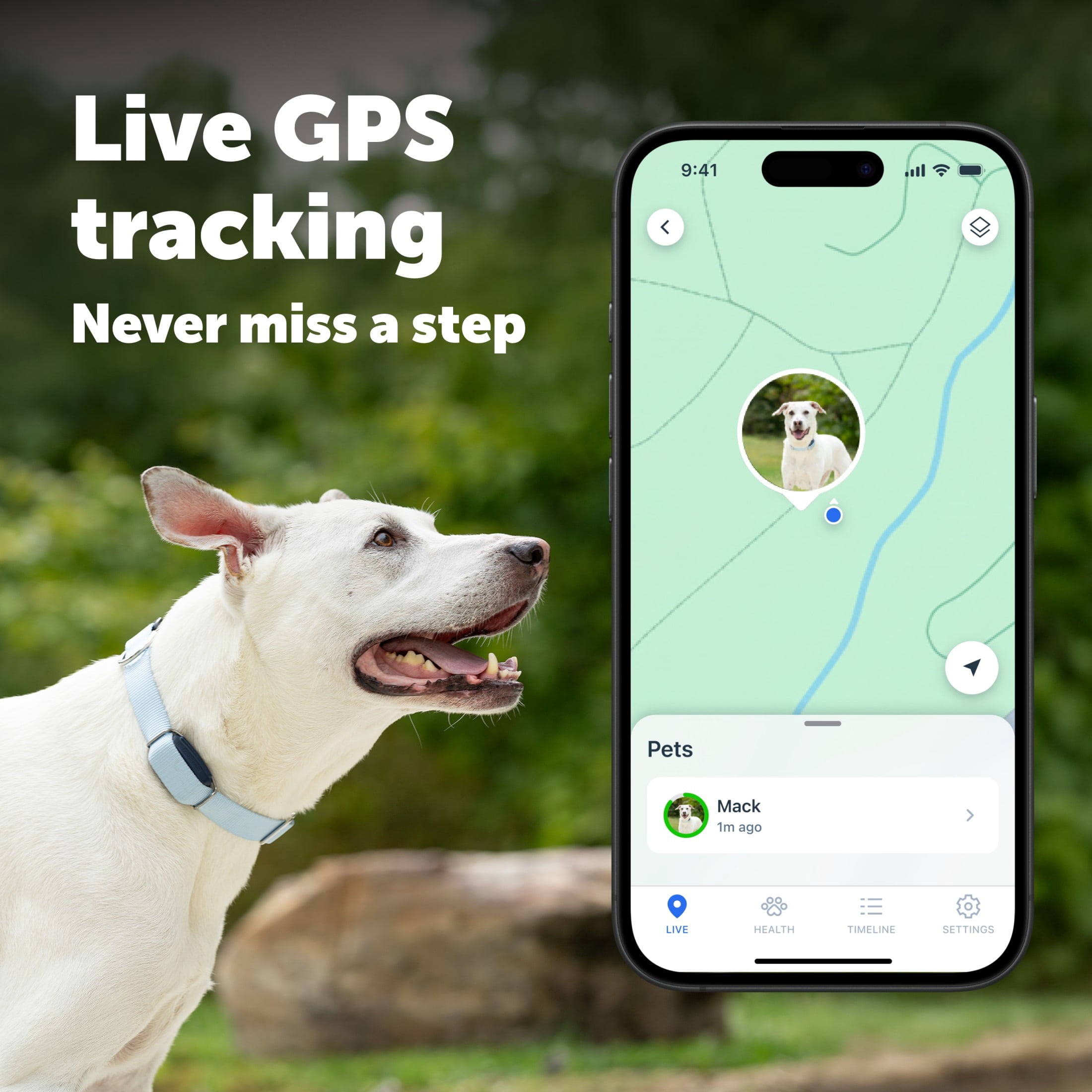 PetSafe GPS Dog Tracker, Real-Time Tracking, Subscription Required | Escape Alerts and Notifications  Activity Monitoring