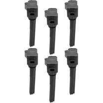 MSD 826036 Ignition Coils