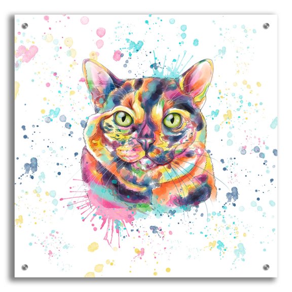 Epic Art 'Colorful Watercolor Calico Cat' by Furbaby Affiliates, Acrylic Glass Wall Art, 24"x24"