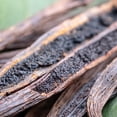 thumbnail image 4 of Organic Vanilla Beans (Extra Large) | 10 Pack | Grade A Vanillin | Delicious Flavor & Aroma | Elephant Chateau, 4 of 5