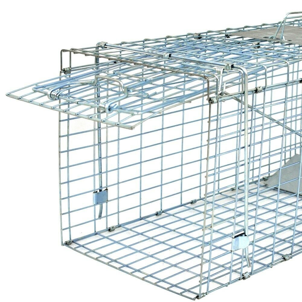 1-Door Rodent Steel Catch and Release 32'' Humane Live Animal Trap Cage 