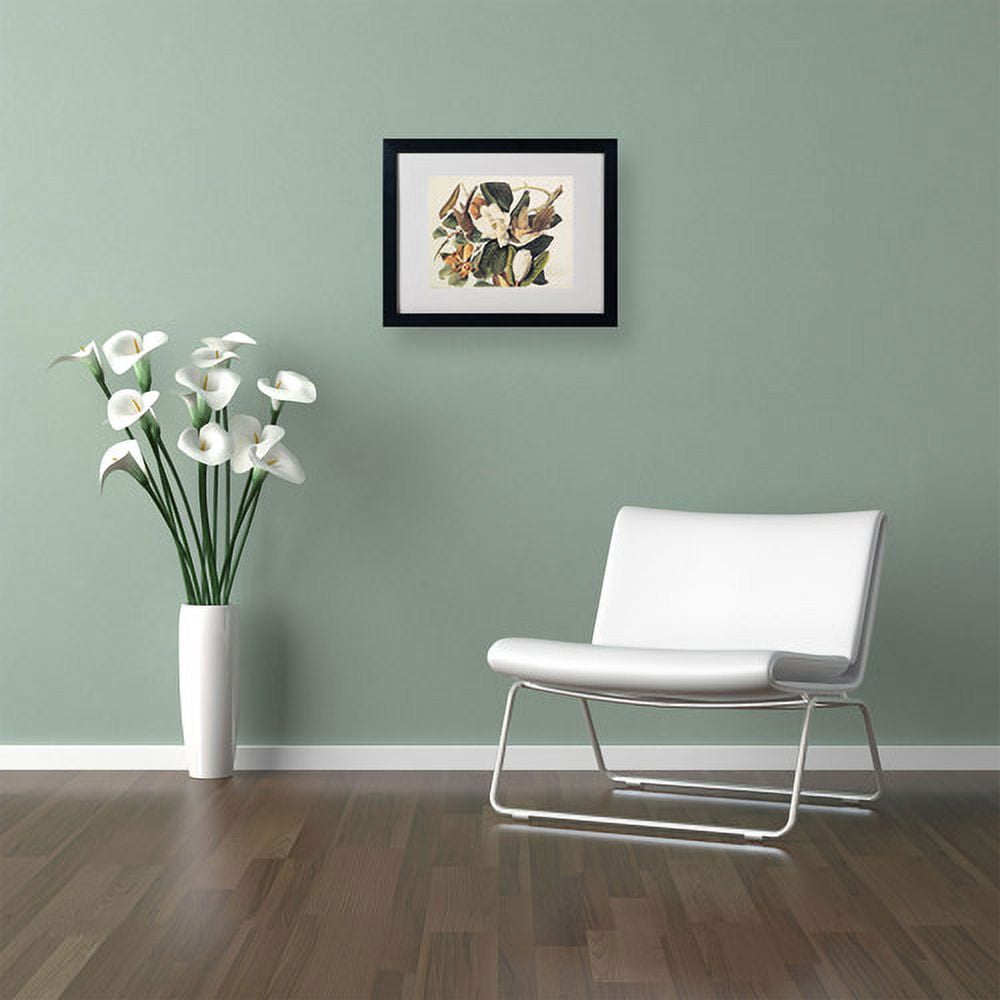 Trademark Fine Art Ornithology Matted Framed Art ' Black-Billed Cuckoo ' by John James Audubon