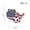 C, variant on World Cup USA-Canada-Mexico American Flag Metal Lapel Pin Collectible Fan Accessory