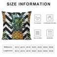 thumbnail image 5 of SHANXI Throw Pillow Covers Fruit Print Cushion Cover Soft Pillow Cases for Home Sofa Bed Chair Car Office Decorative 22x22in, 5 of 5