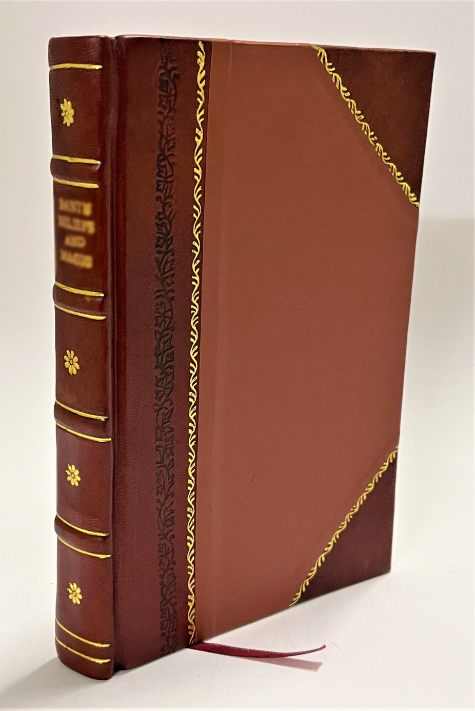 The simplicity of life, an introductory chapter to pathology / Ralph Richardson (1873) [Leather Bound] - image 1 of 1