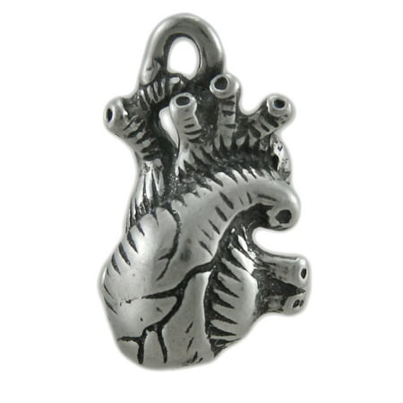 Lead Free Pewter Heart - Three Dimensional Human Heart Lead Free Pewter Pendant