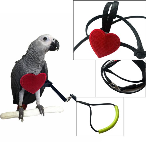 Bird Harness Leash Creative Adjustable Parrot Harness Leash Bird Supplies
