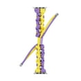 thumbnail image 2 of Compatible with Apple Watch Band 49mm 45mm 44mm 42mm, Rugged Survival Paracord Nylon Strap Braided Sport Loop for iWatch Bands Ultra 2 Series 9 8 7 6 5 4 3 2 1 SE Women Men, Purple+Yellow, 2 of 6