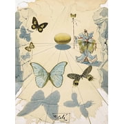 Salvador Dali 1950 Allegorie de soie - CANVAS or PRINT WALL ART