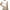 White, variant on Casual Solid Round Neck Tank Top White Women Tank Top Tops & Camis (Women's)