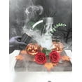 thumbnail image 3 of StagesFogger Portable Fog Machine for Photography Cosplay Fog Making Outdoor handheld smoke machine film and television film set short video atmosphere smoke effect, 3 of 11