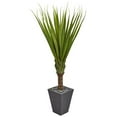 thumbnail image 1 of 5.5 ft. Spiky Agave Artificial Plant in Slate Planter, 1 of 1