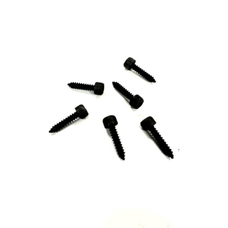 The Stop Shop 1979-1981 Dash Instrument Cluster Bezel Housing Screw Set, 6 Pieces