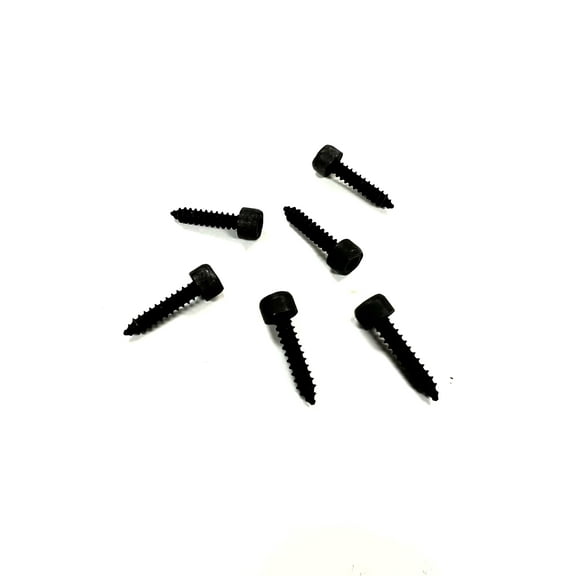 The Stop Shop 1979-1981 Dash Instrument Cluster Bezel Housing Screw Set, 6 Pieces