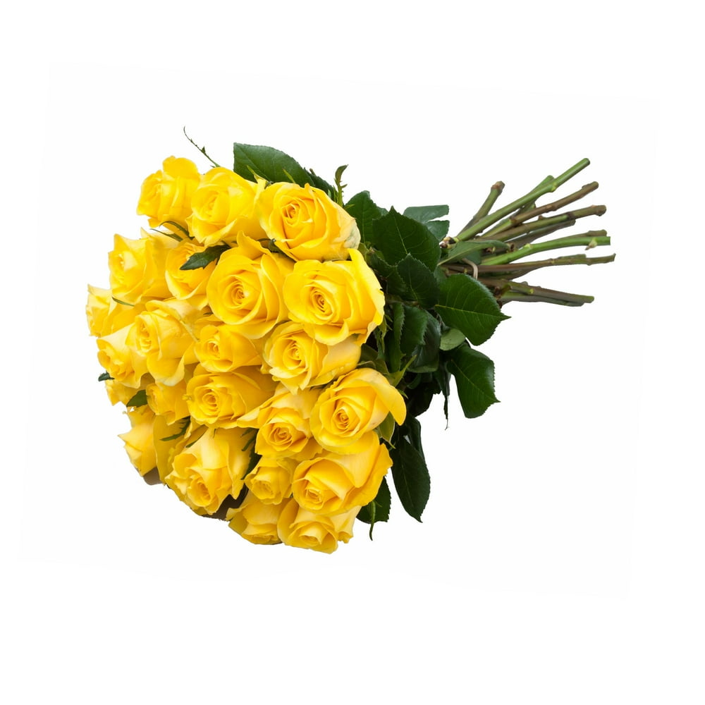 Yellow Roses Gift Bouquet 40 cm Fresh Cut Flowers 24 Stems