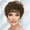 8/12A - Pecan Delight, variant on Paula Young Abby WhisperLite Wig Short, Lightweight Style with Chic, Cropped Layers/Multi-tonal Shades of Blonde, Silver, Brown, and Red