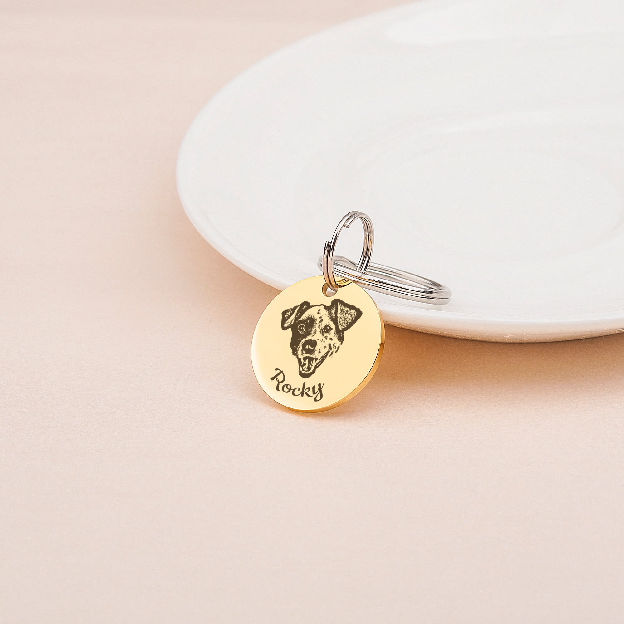 Anavia Metal Stainless Steel Round Name - Dog Picture Birthday Holiday Christmas Engraved Dog Cat ID Tag, Gold