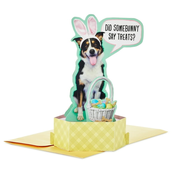 Hallmark Shoebox Paper Wonder Funny 3D Pop-Up Easter Card (Dog With Bunny Ears)
