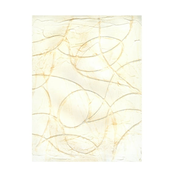 Trademark Fine Art Michael Willett  Curved Conduits II Canvas Wall Art