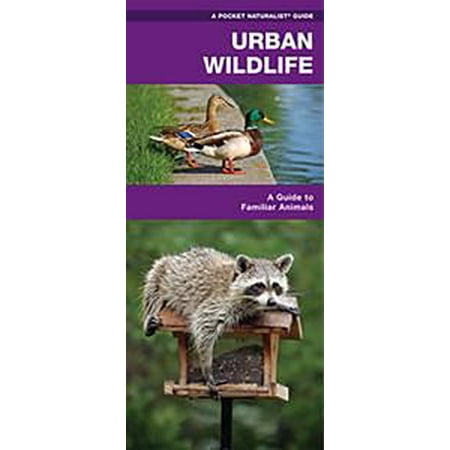 Life Urban Envelope - Urban Wildlife - eBook