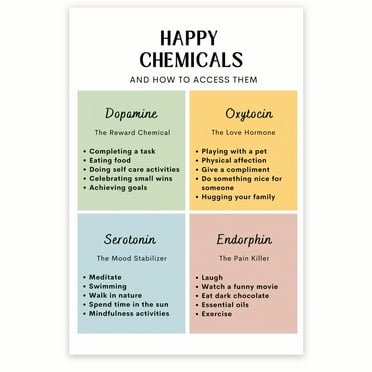 Happy Chemicals Poster - Neurobiology- Dopamine Oxytocin Serotonin Endorphin - Neurochemistry Brain Chart - 12 x 18 Inch Poster - Unframed - Premium 100lb Gloss - Made In USA - BMCP0325