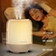 thumbnail image 3 of Humidificadores para dormitorio y habitación grande, Humidificadores silenciosos de niebla fría Humidificadores USB de doble rociado de 3000 ML con Fernando Humidificador de aire, 3 of 8