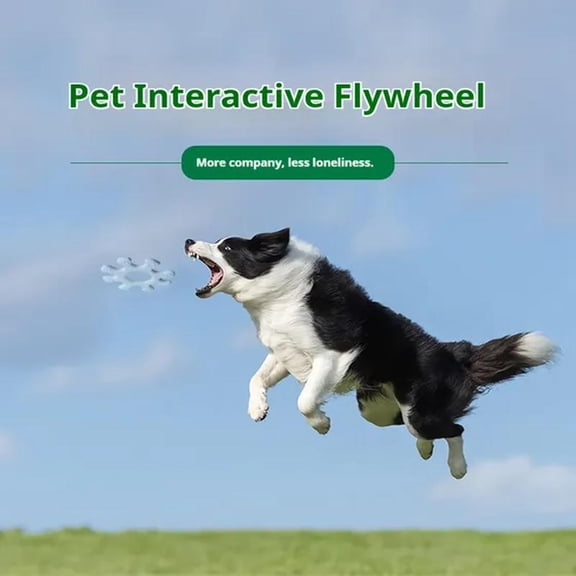 Pet Interactive Flywheel, Dog Frisbee Toy