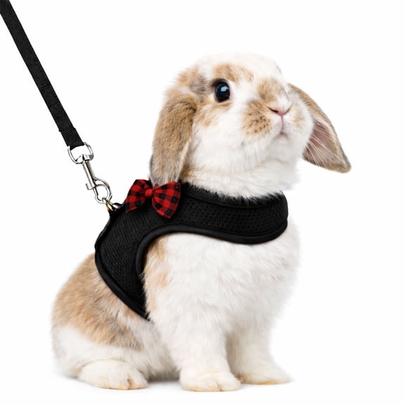 Small Animal Harness and Leash Set Escape Proof - Rabbit Harness with Rope Leash, Soft Breathable Vest for Bunny, Chinchilla, Hamster, Guinea Pig, Ferret, Other Small Pets(Large, Black)