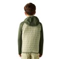 thumbnail image 5 of Regatta Boys/Girls Andreson Hybrid Padded Jacket, 5 of 5