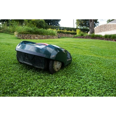 LAMINATED POSTER Robot Mower Robot Grass Lawn Mower Automatically Poster Print 24 x 36