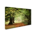 thumbnail image 2 of Trademark Fine Art "Through the Woods" Canvas Art by Philippe Sainte-Laudy, 2 of 3