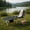 Black, variant on Topcobee Portable Folding Camping Cot with Carry Bag, Lightweight Aluminum Frame, Oxford Fabric, Compact Design for Camping, Travel & Emergency Use (Black)