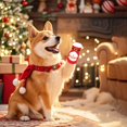 thumbnail image 4 of Festive Holiday Pet Socks with Non- Grip for Indoor Dogs and Cats Comfortable Wear Design, 4 of 4