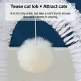 thumbnail image 3 of Estera de ratán para café Depurador de pelo para gatos masaje para rascar gatos cepillo facial con arco autorreparable tabla para rascar gatos 33x30cm Material: cepillo de PVC ANGGREK  Otros, 3 of 8