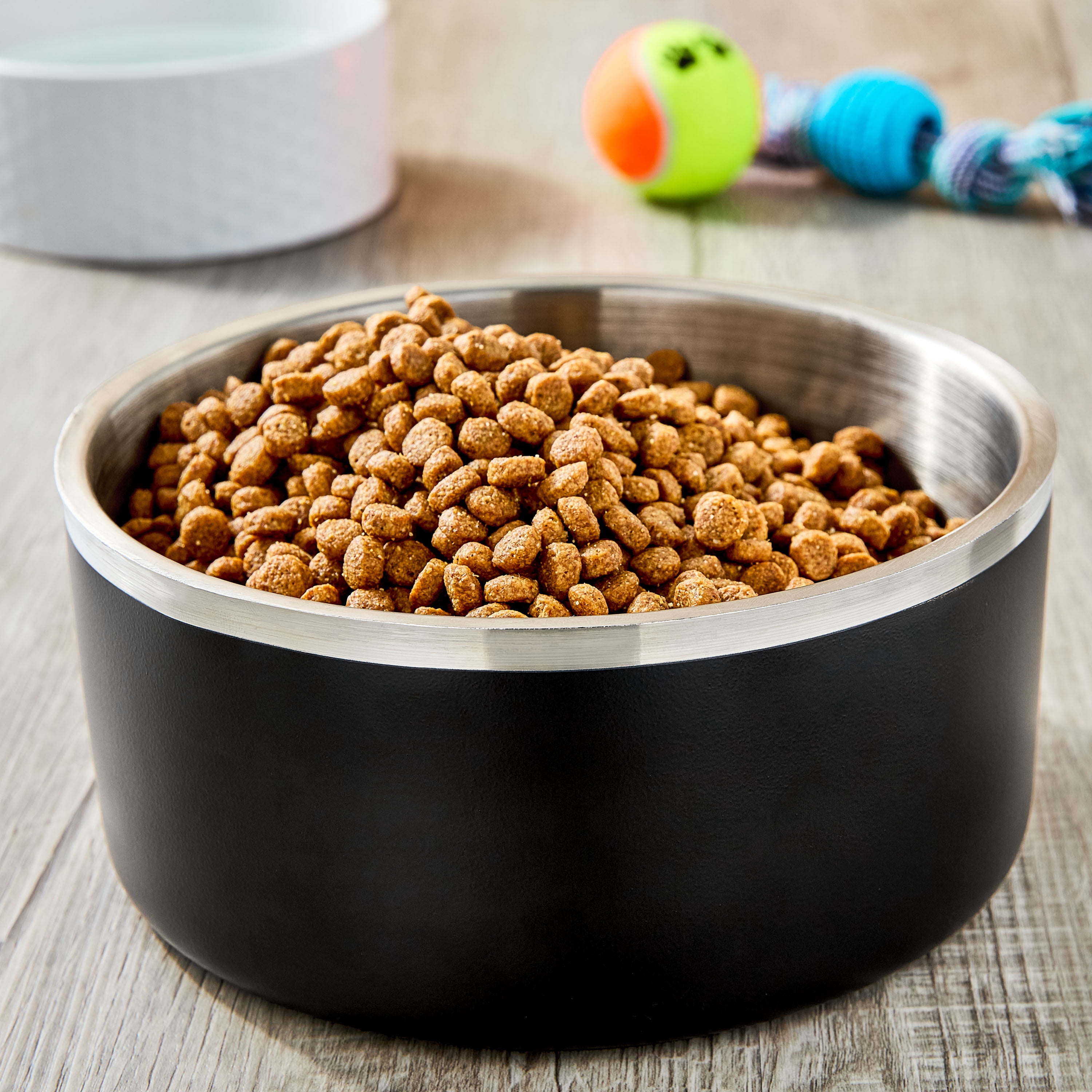 Vibrant Life Large Stainless Steel Double Wall Dog Bowl, Black