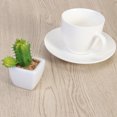thumbnail image 3 of Maceta suculenta artificial moderna en forma de cubo, verde, minimaceta para decoración de interior y exterior (cactus con espinas), 3 of 5