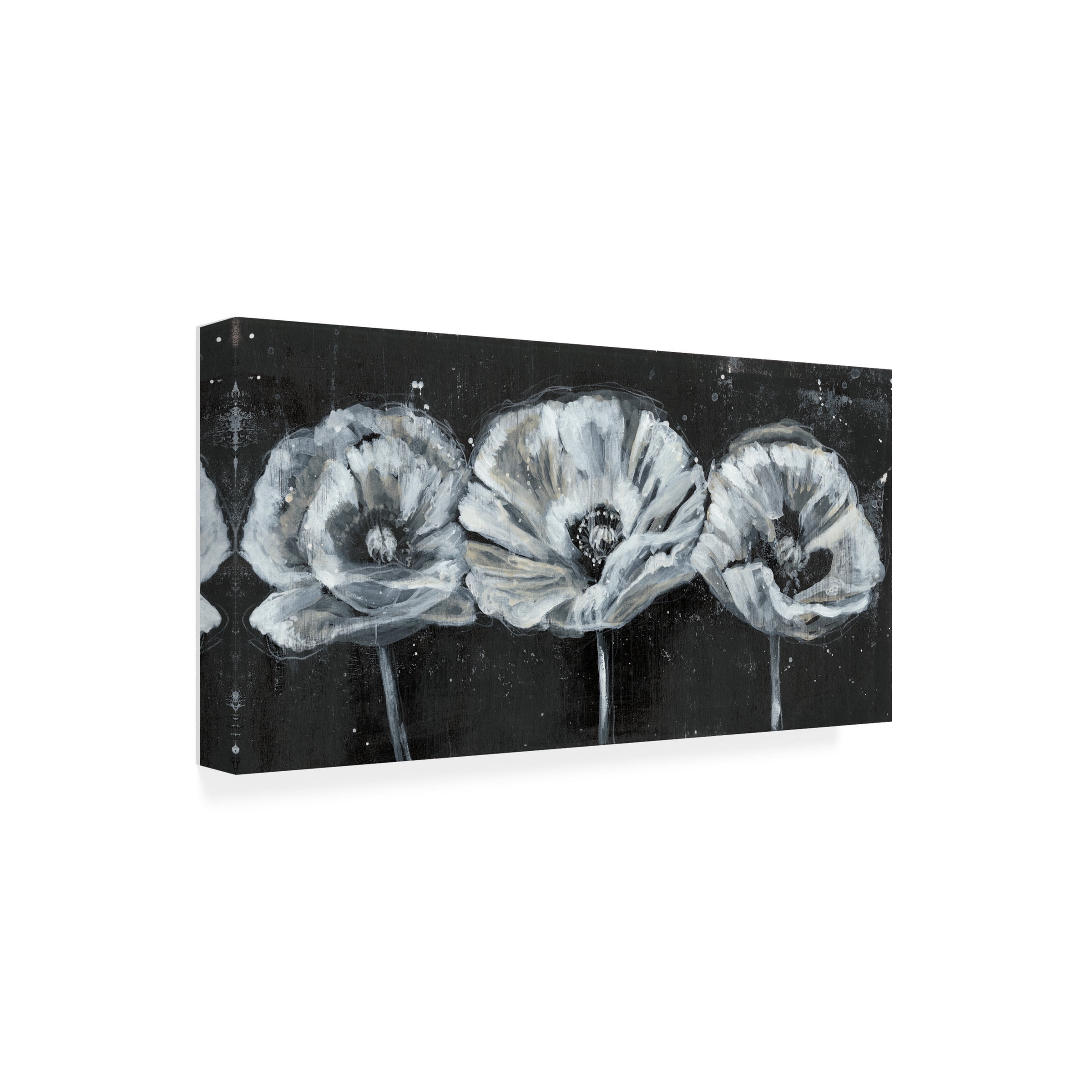 Jennifer Goldberger 'White Trio on Black II' Canvas Art