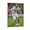 Frame-style, variant on Signed by Zinedine Zidane Canvas Poster Canvas Art Poster and Wall Art Picture Print Modern Family bedroom Decor Posters 16x24inch(40x60cm)