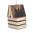 thumbnail image 2 of Hallmark Harry Potter Stacked Books and Wand Christmas Ornament, 2 of 6